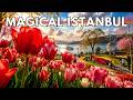 ISTANBUL SPRING 2026 | Emirgan Park Tulip Festival 4K Walking Tour &amp; Bosphorus Views