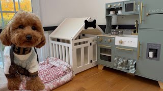 Luxury Puppy Playpen Setup