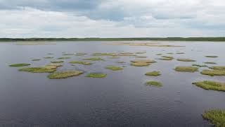 Berezinsky Reserve. Березенский Заповедник.
