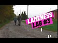 Lameness Lab #3: Is this horse lame? Training your eye to see lameness By Equine Guelph