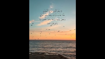 سورة الفرقان ( الآية ٥٣ ) الشيخ محمد صديق المنشاوي #قرآن #المصحف #المنشاوي