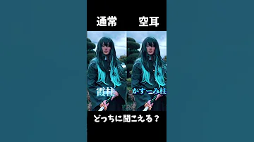 鬼滅の刃 柱コスプレ どっちに聞こえる 鬼滅の刃 鬼滅の刃無限城編 比較動画 空耳 コスプレ 柱 Demonslayer Cosplay 