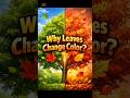 The Science of Why Leaves Change Color