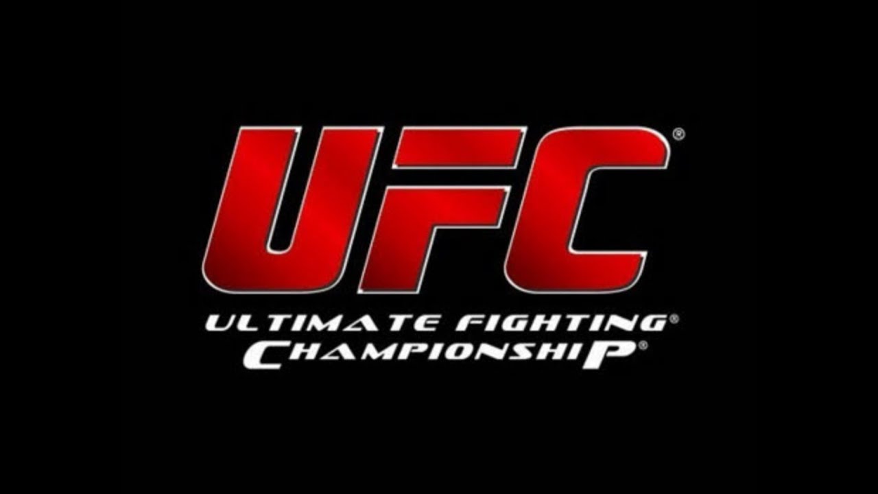 the fight forecast ufc 250