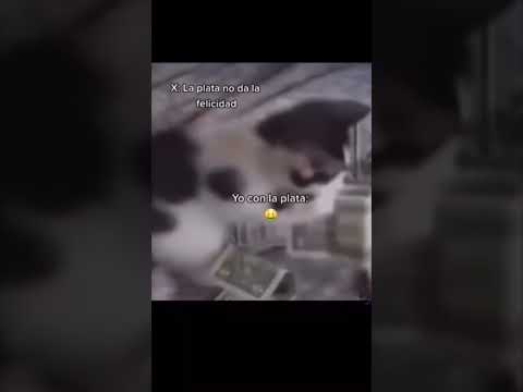 ..🤑🤑 #shorts #viral #money