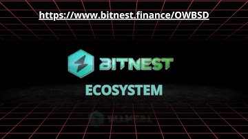 BITNEST ECOSYSTEM. Learn about the birth of BitNest in 6 minutes.