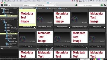 IPTC/IIM, XMP, or Exif - which version of your metadata do you see?
