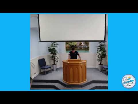 Video preview