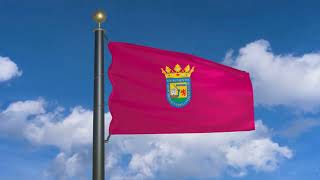 Flag of Álava (moving clouds)
