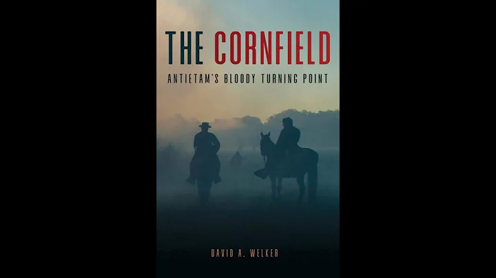 The Cornfield: Antietams Bloody Turning Point - a ...