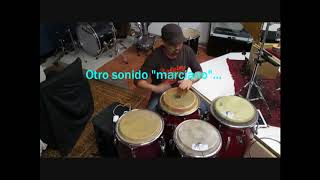 Impaktor app & Latin Conga screenshot 1