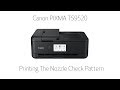 Canon PIXMA TS9520 -- Printing The Nozzle Check Pattern