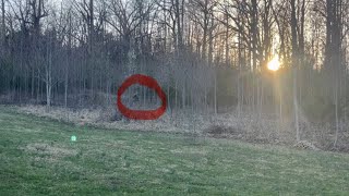Backyard Security Camera Captures EVERYTHING That NO ONE Was Supposed To See! Profile