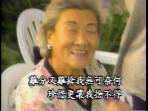 [金点93经典VHS] 潘美辰: 朋友你对我好