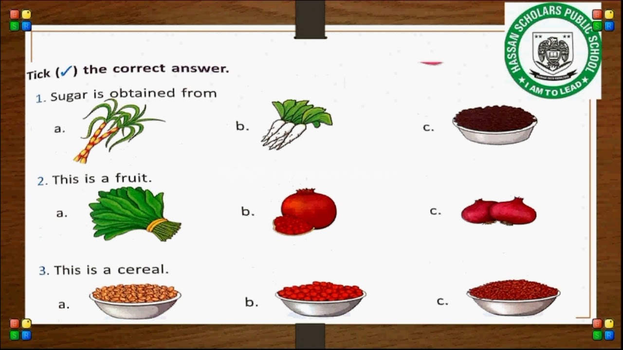 Lecture 3 Unit # 2 Sub unit # 4 Science Class 1 - YouTube