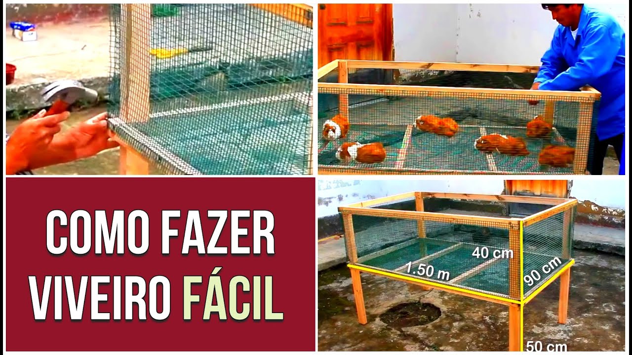 COMO fazer um VIVEIRO para PORQUINHO DA ÍNDIA #viveiro #comofazer