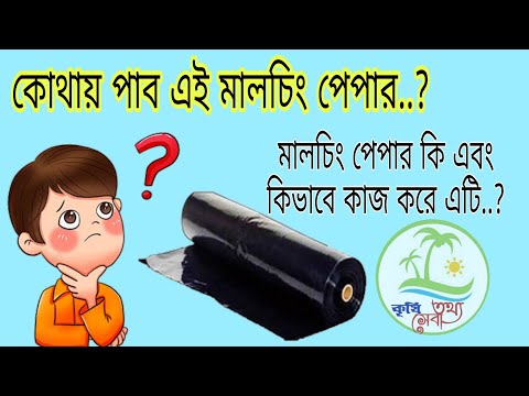 ভিডিও: আপনি কি মালচ হিসাবে করাত ব্যবহার করতে পারেন: করাত দিয়ে মালচিং সম্পর্কে তথ্য