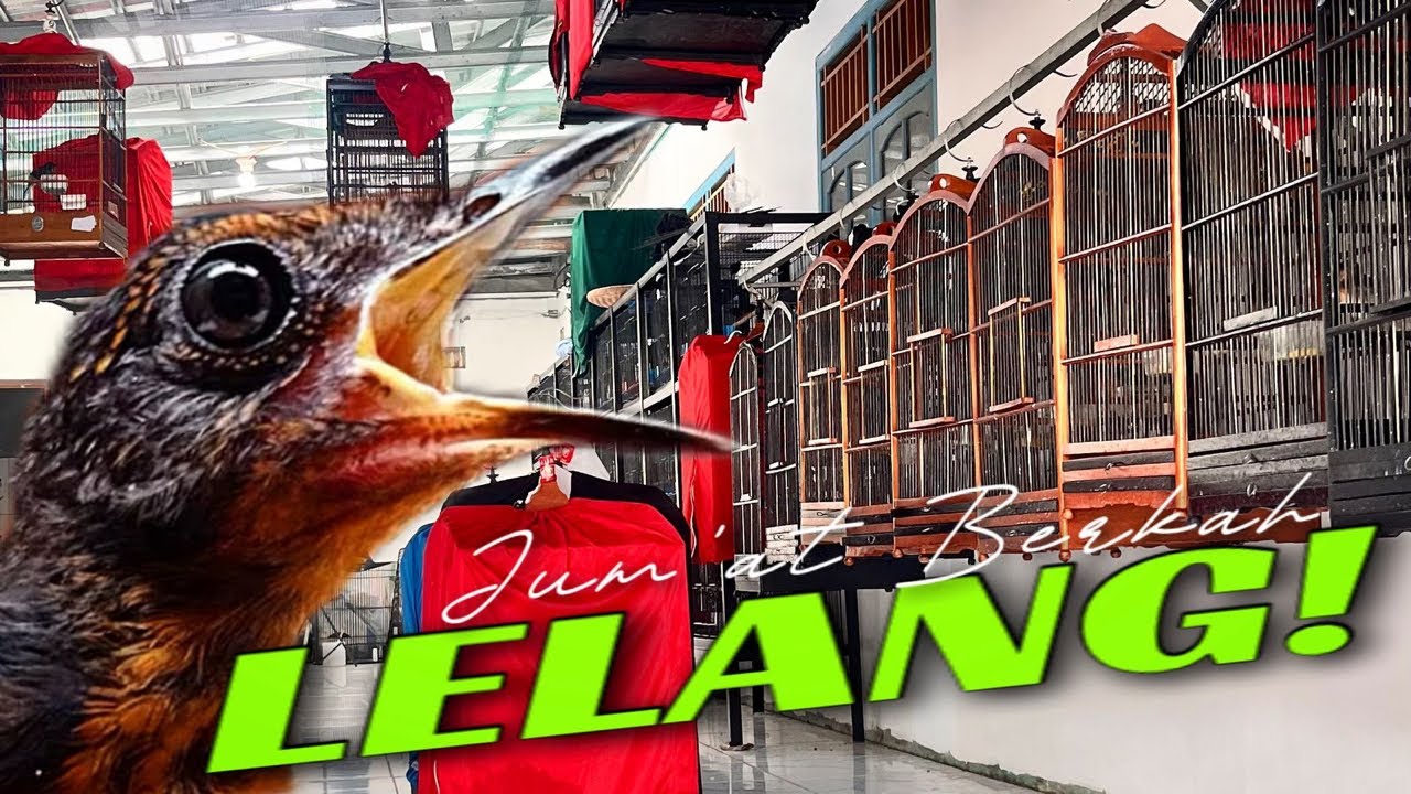 Lelang Full maskot full mewah mewah bosskku ..!!!