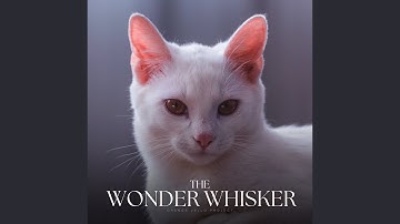 Unyielding Commitment to Success