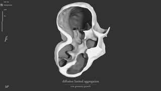 ROOGOTFL : Diffusion Limited Aggregation - Core Geometry Growth