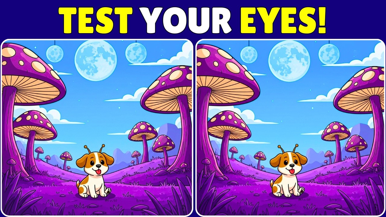 👀Find the 3 difference: Only 90 Seconds! ⏱️ Spot it if You Can ! 🎯🧠 