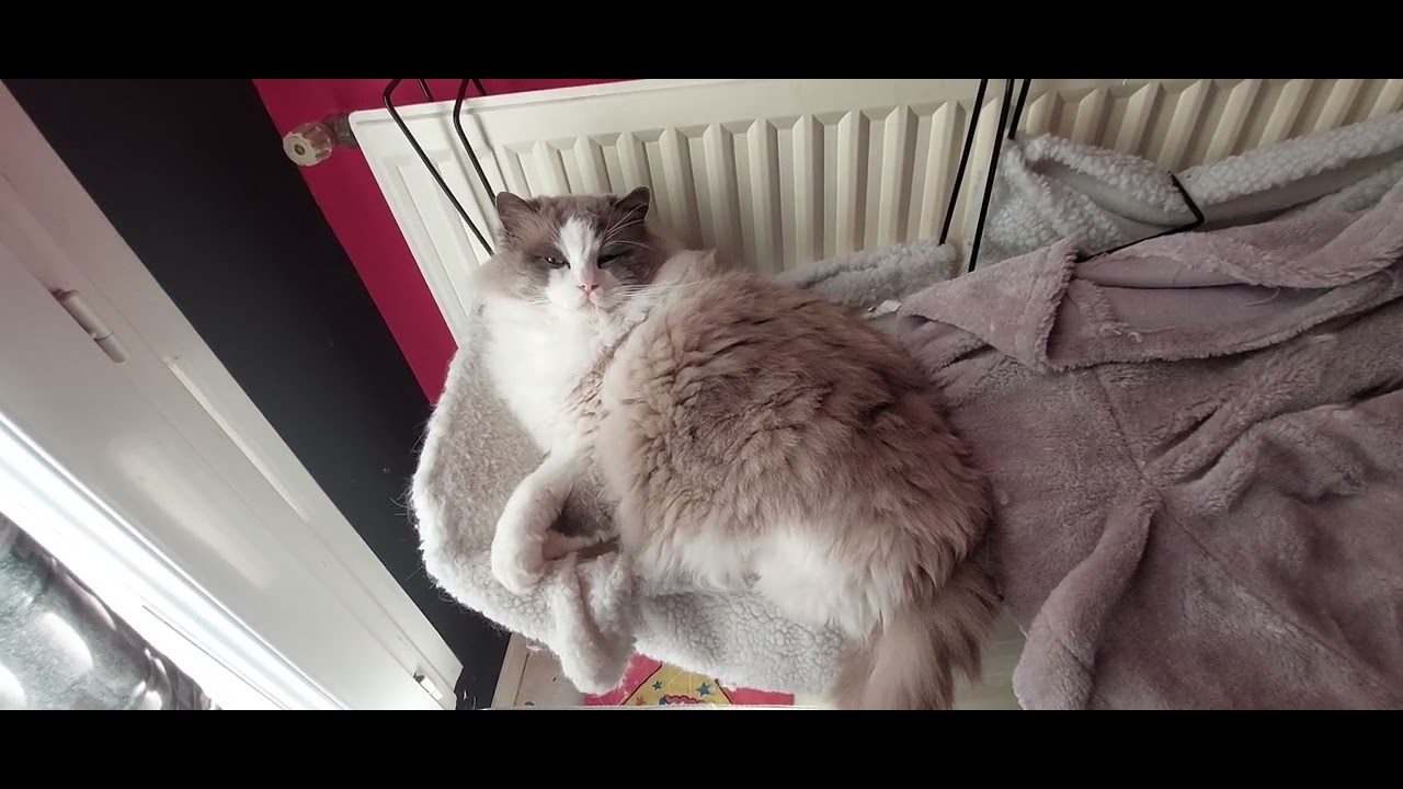2 salles 2 ambiances 😁 - YouTube