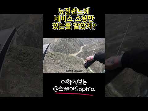 뉴질랜드 퀸스타운 도파민터지는 액티비티 #shorts