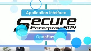 Sdn For Enterprise Networks