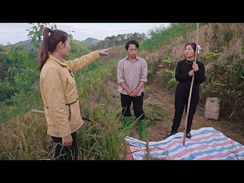 Going Up The Mountain To Glean Rice And Luckily Meeting Two Kind Sisters Again Tran Cong