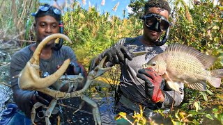 Giant Crab & Tilapia Catch & Cook in Crocodile Swamp