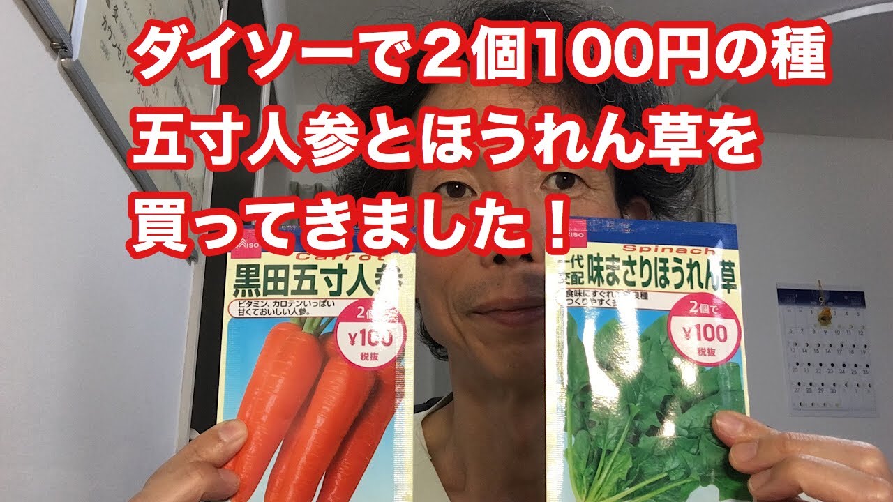 ダイソーで五寸人参とほうれん草の種を買ってきました Youtube
