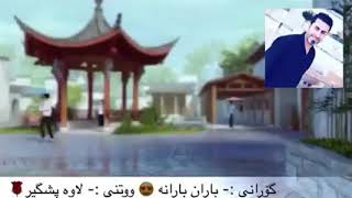 باران بارانه   نم  نم ته رمی کرد ? یار