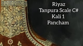 Tanpura | Scale C# | Kali 1 | Pancham