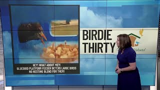 BIRDIE THIRTY: "Hey! What About Me!?!" - EWN at 5:30am on 4-4-2026