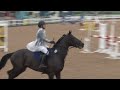 Allington International CSI2* - Day 2 - CSI2* Small Tour 1.15m