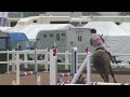 Allington International CSI2* - Day 2 - CSI2* Small Tour 1.15m