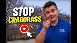 3 Pre-Emergent Mistakes That Cause Crabgrass