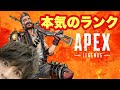 【FPS】ランクで比較的真面目なプレイをした「APEX Legends」