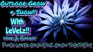 LeVeLz OutDoor Grow & Show!! Come Out Show Those Plants! PlaCe WheRe Gr0wErZ Gr0w & LeArN ToGeThEr!