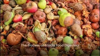 Revolutionising Food Waste Management with Ecobia