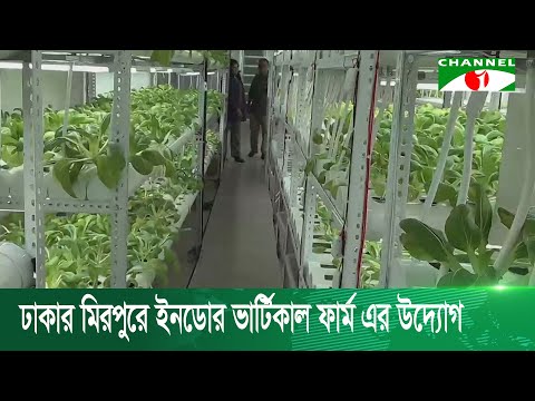 ঢাকার মিরপুরে বাড়ি ভাড়া নিয়ে গড়ে তোলা হয়েছে ভার্টিকাল কৃষি খামার