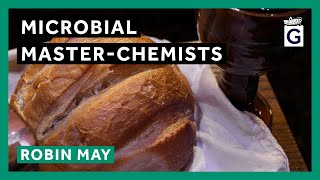 Microbial Master-Chemists