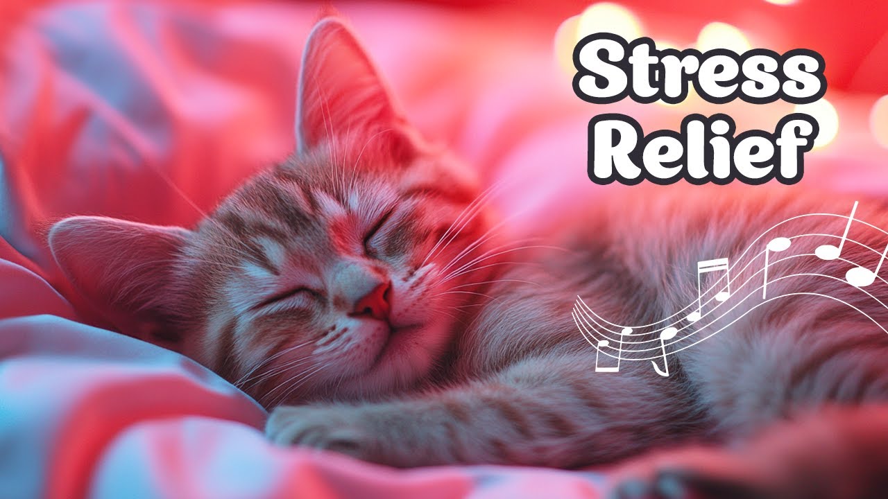 Anti-Anxiety Autumn Music for Cats ♬ Relaxing Kitten Melodies for Deep ... - Calming Music For Cats With Noise Phobia Attacks