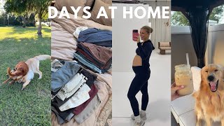 HOME VLOG: in between trips, chiropractor, package haul, puppy play date !!