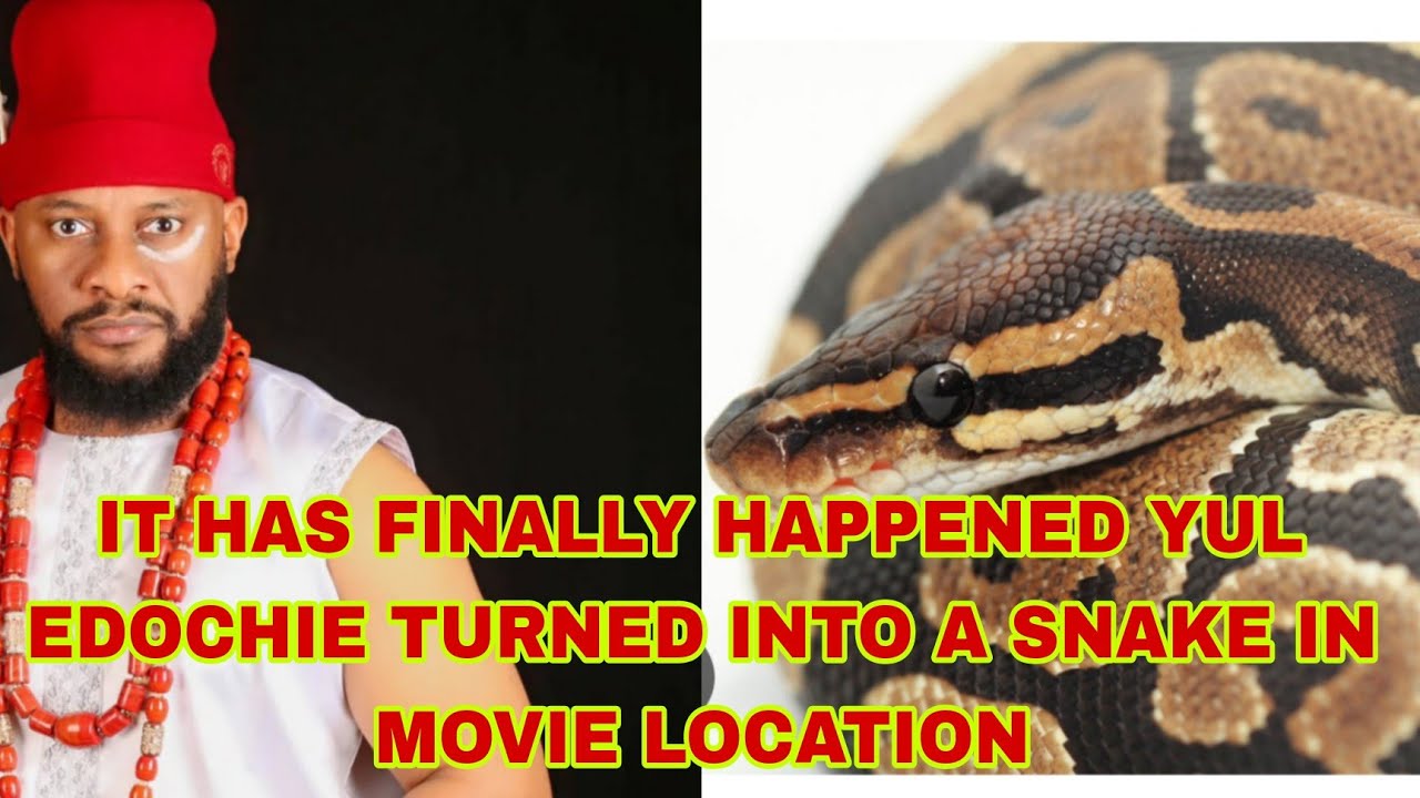 Beware The Python BEWARE IT HAS FINALLY HAPPENED YUL EDOCHIE TURN IN TO A PYTHON SNAKE IN ...