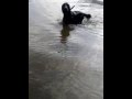 Shila bagno nel lago di Endine