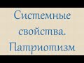 Системные свойства. Патриотизм. Анальная эротика. Фрейд