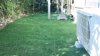 【庭DIY】モダンデコの人工芝を素人ひとりで敷きました