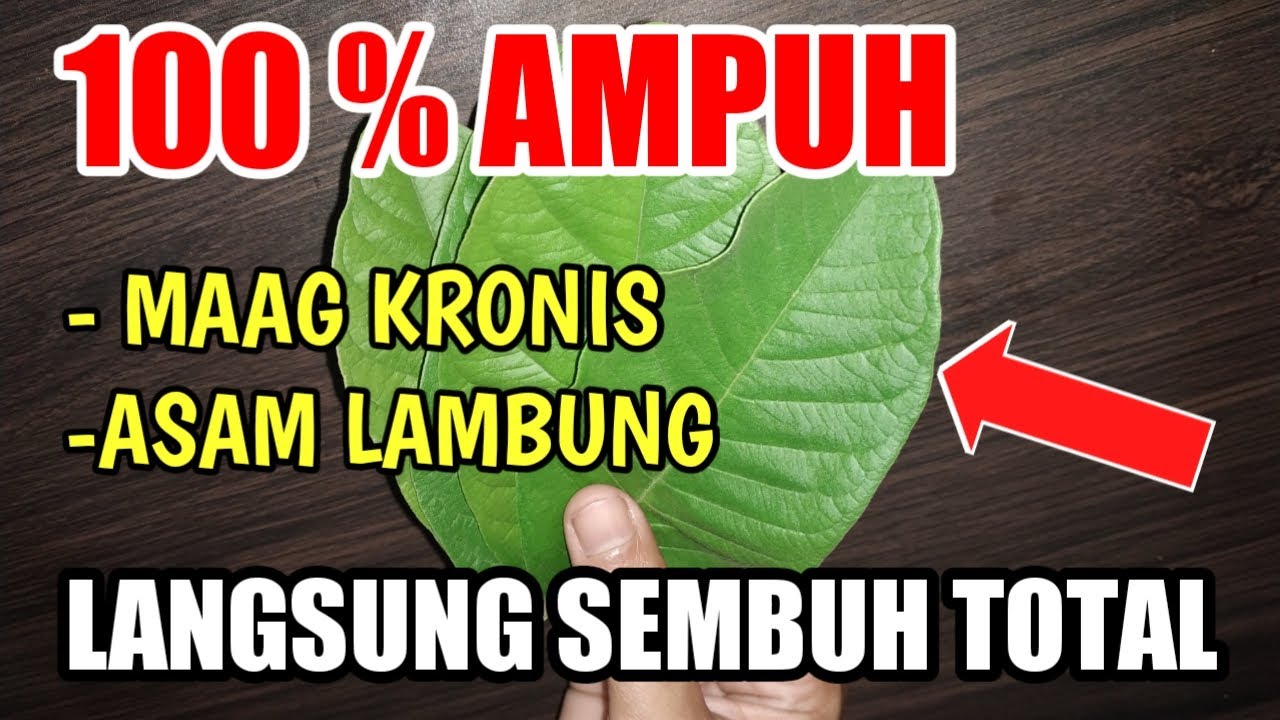100% AMPUH !!! DENGAN INI MAAG KRONIS LANGSUNG SEMBUH | cara mengatasi