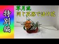 【特別編】草月流の先生達と、5色のパイプ花器を用いて活け花！